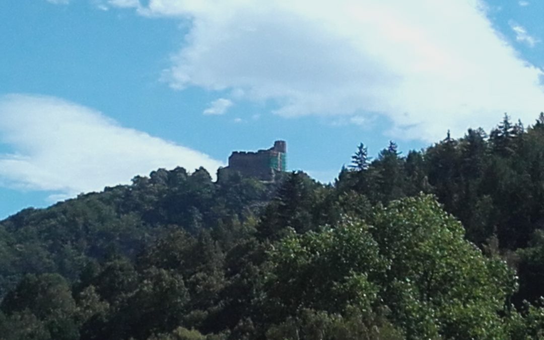 zamek chojnik
